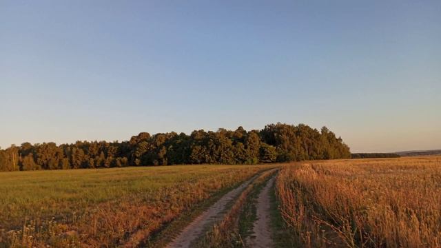 Твоя жизнь это не то, чего ждут от тебя окружающие смотреть онлайн