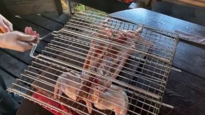 Шашлык из кролика . Быстрый маринад