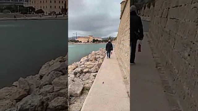 Прогулка Пальма-де-Майорка смотреть онлайн