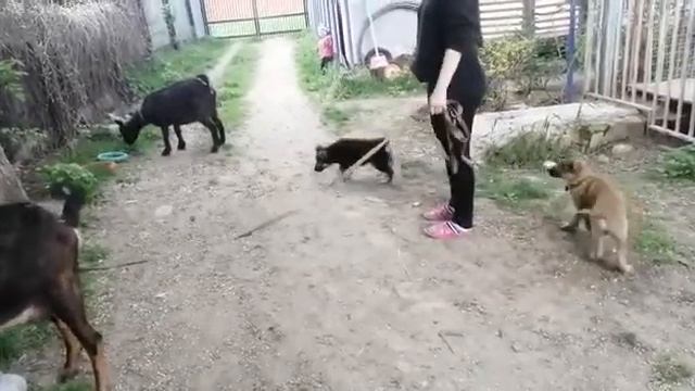 Дети Бьянки смотреть онлайн
