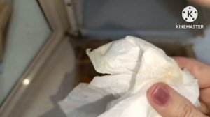 Яичный порошок своими руками!