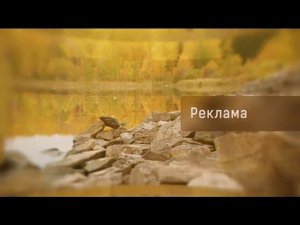 Рекламный блок ОТВ ЧЕЛЯБИНСК 23.09.2023