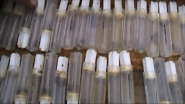 вывод маток смотреть онлайн