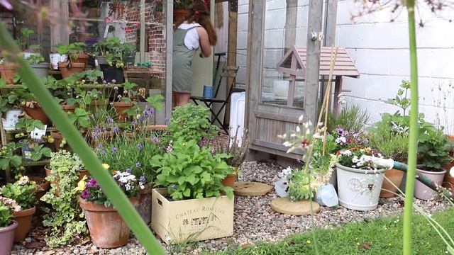 Adding a pop of colour & a secret giveaway | Cottage garden vlog June смотреть онлайн