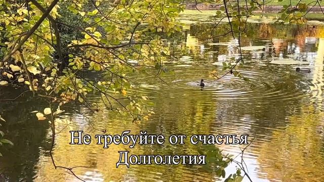 Стих Мария Куткар / не требуйте от жизни слишком многого смотреть онлайн