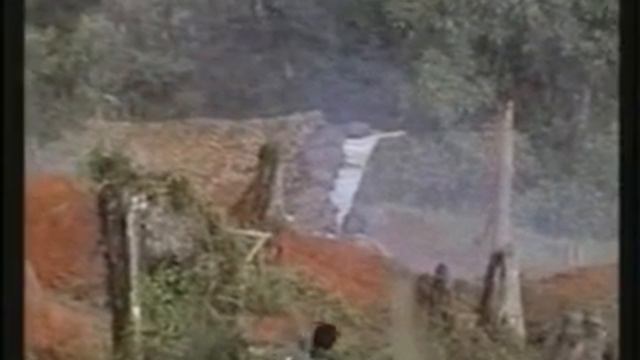 marulanda, puya fariana.wmv смотреть онлайн