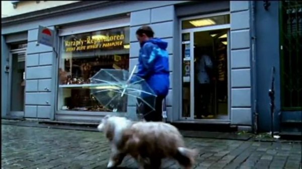 SpeakOut Elementary 2nd Edition Unit 10 Wild Weather