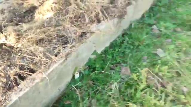 Бетонные ограждение высоких грядок. смотреть онлайн