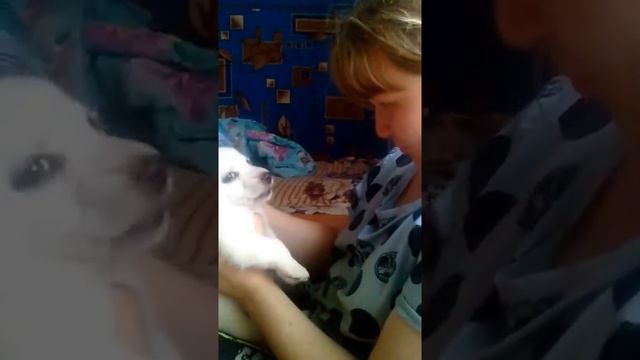 Шок. Что они делают с собакой? ?