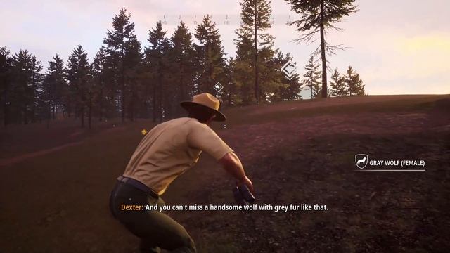 HUNTING SIMULATOR 2 - A Ranger's Life Tutorial | How to Start beginner guide and Walkthrough смотреть онлайн