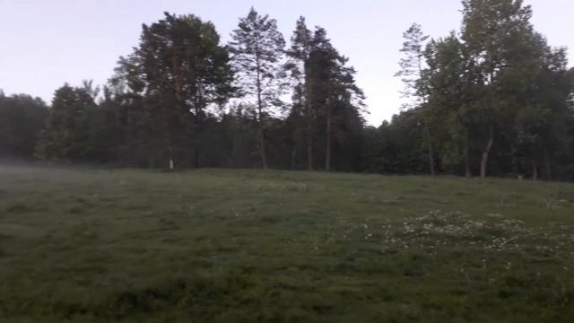 Утро в лесу смотреть онлайн