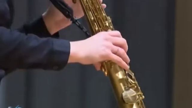 Дуэт баяна и саксофона 12+