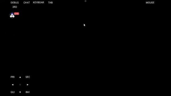 Minecraft Java Stream