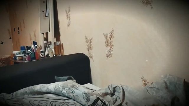 Моя🐱 кошачья🐤 жизнь / Игры🚴♀ с утра🌇. смотреть онлайн