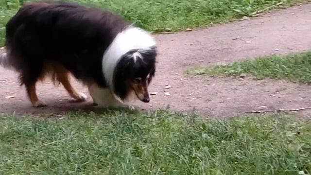 Алан, 14 лет 2 месяца, июль 20 смотреть онлайн