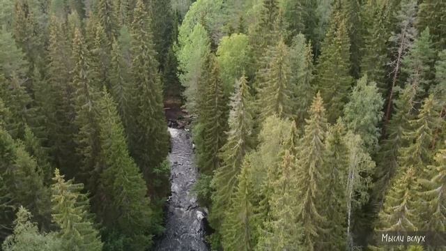 Евангелие от Иоанна смотреть онлайн