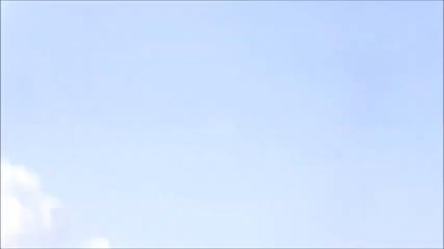 Terminal spotting Punta Cana (PUJ) смотреть онлайн