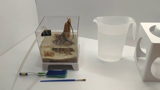 Как чистить маленький аквариум - How to clean a small aquarium смотреть онлайн