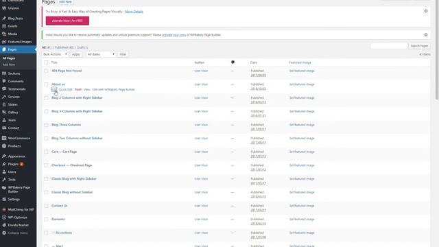 How to copy WPBakery Page Builder element to another page смотреть онлайн
