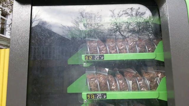 ЗЕЛЕНОГРАДСК - Город Кошек! Калининградская область. смотреть онлайн