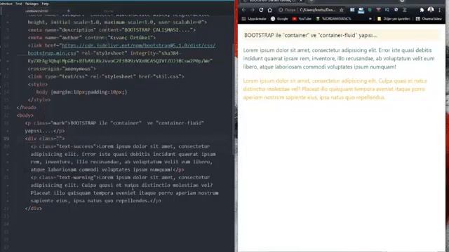 Bootstrap Container ve Container Fluid 04 смотреть онлайн