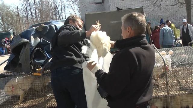 ярмарка весна 2014 смотреть онлайн