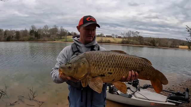 Creek Fishing for Carp смотреть онлайн