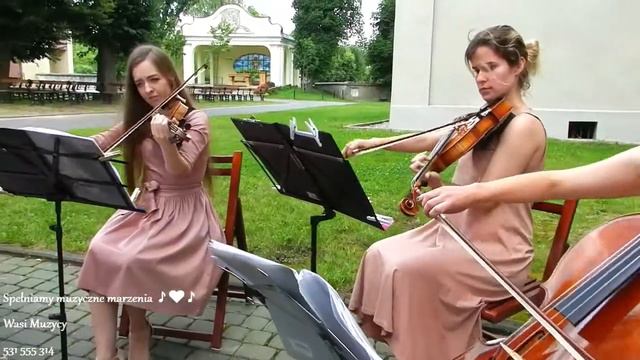 Shallow (from a star is born) -string quartet - Wasi Muzycy - oprawa muzyczna życzeń ♪♥♪ 531 555 31 смотреть онлайн