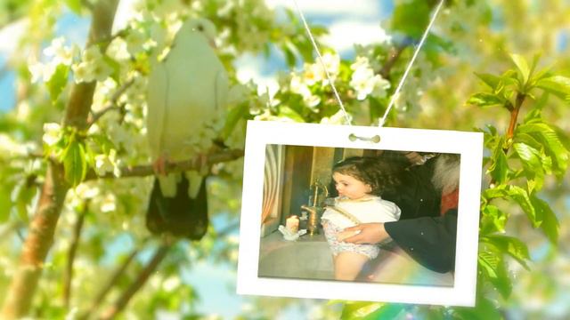 Production E-V Studio 094 148680 Սուրբ մկրտության նկարներ смотреть онлайн