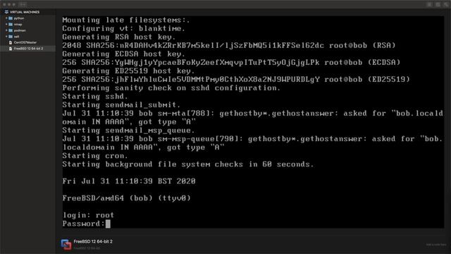 Installing FreeBSD 12 UNIX into VMware Fusion смотреть онлайн