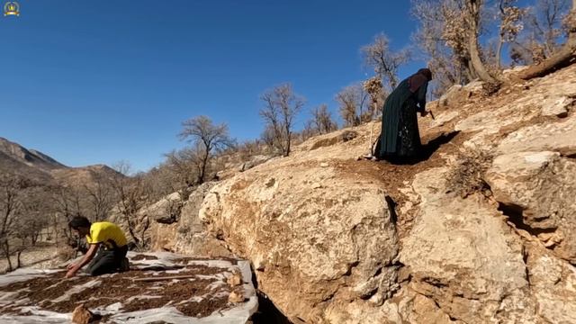 Nomadic lifestyle: The First Wife's Mountain Hideaway: The Iranian Engineer's Visit (Subtitle) смотреть онлайн