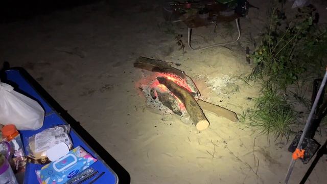 Рыбалка на КАРАСЯ летом на убийцу карася. Рыбалка на пружину. Сом и Лещ. Семейная рыбалка с ночевко смотреть онлайн