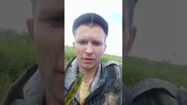 Диалоги про рыбалку смотреть онлайн
