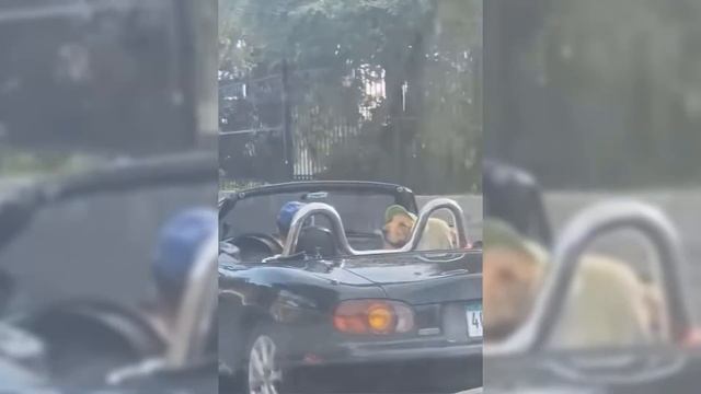 На Такое Хочется Смотреть Вечно! Смешные Случаи Снятые на Камеру! смотреть онлайн