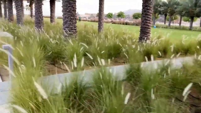 ОТДЫХ В ОАЭ. ФУДЖЕЙРА. ОТЕЛЬ 5* INTERCONTINENTAL FUJAIRAH RESORT. ОБЗОР ОТЕЛЯ. (с субтитрами) смотреть онлайн