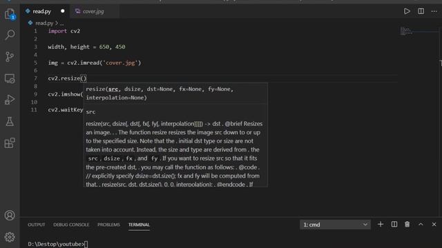 Python Opencv Tutorials 1: Reading And Resizing Image смотреть онлайн