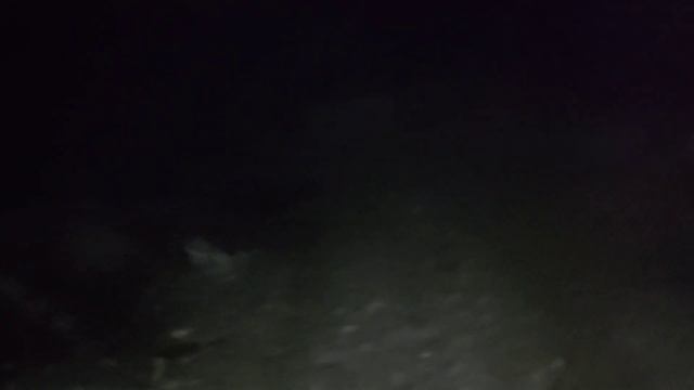 (1175) ночь на 22 января, первые пары двойня у меня. в этом году смотреть онлайн