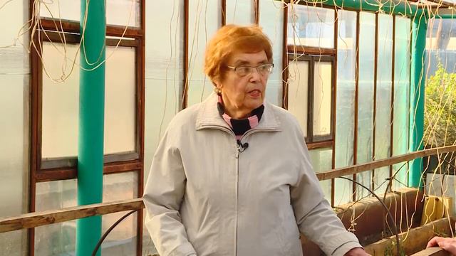 Академия на грядках 7 октября 2020 смотреть онлайн