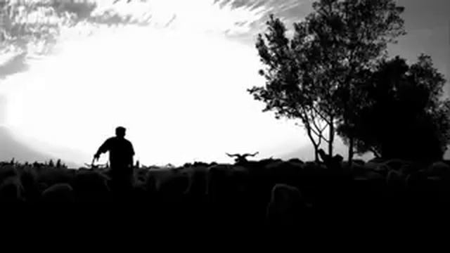 Silent Night - Eva Cassidy