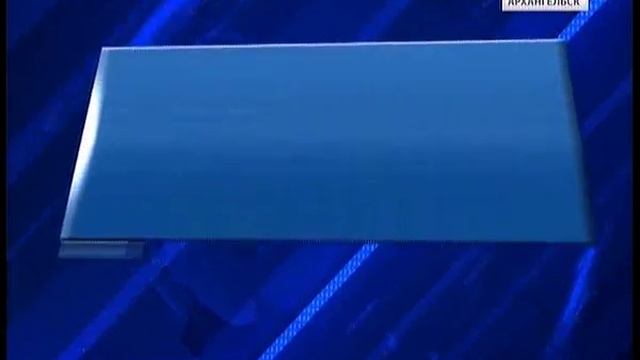 В Архангельске все больше становится несанкционированных кладбищ домашних животных