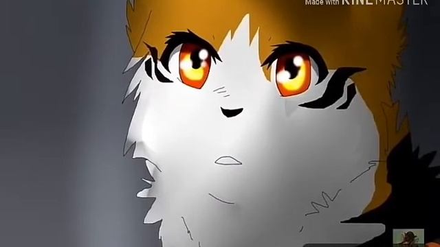 Коты воители клип Горелый,бичь,и уголёк смотреть онлайн