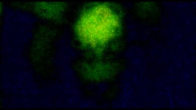 Desperate GuItAr - 2 #experimentalguitar смотреть онлайн