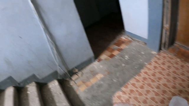 Купил собаке печенье смотреть онлайн