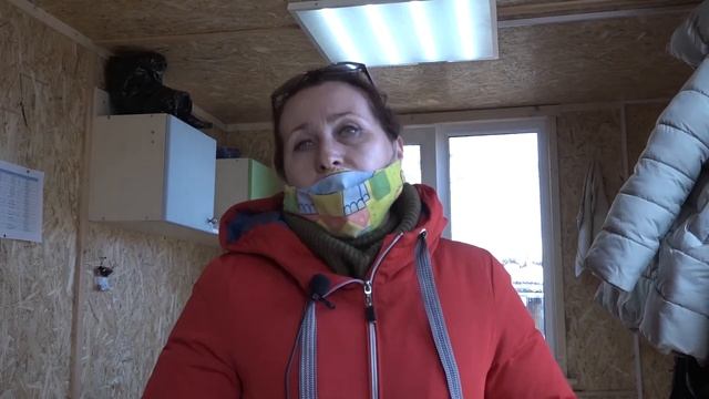 Центр временного содержания бездомных животных. Как пристроить бездомную собаку. смотреть онлайн