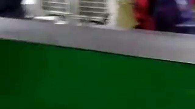 Капуста брокколи от компании 