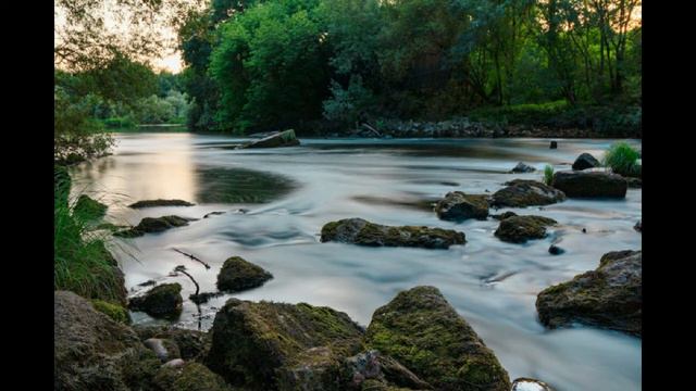 RELAXING УДИВИТЕЛЬНЫЕ ЗВУКИ НОЧНОГО ЛЕСА смотреть онлайн