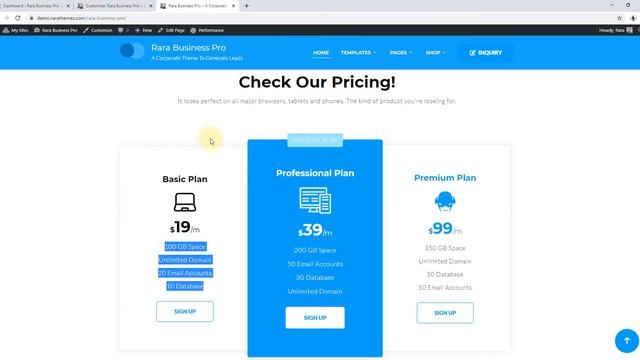 How to Configure Pricing Section | Rara Business Pro WordPress Theme смотреть онлайн