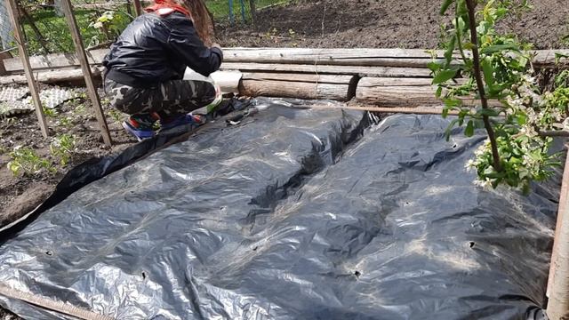 Поливаємо огірки в рази рідше! Урожай на чорній плівці смотреть онлайн