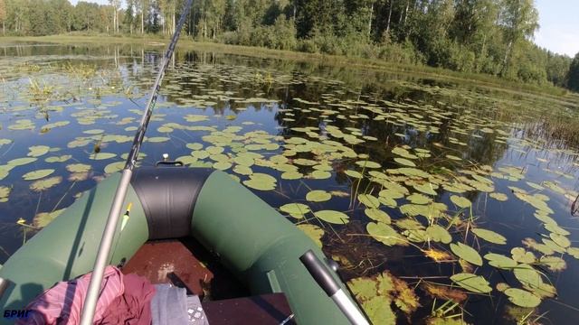 Ловля щуки на летние жерлицы в болоте смотреть онлайн