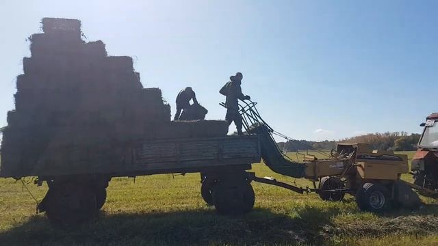 Прессуем сено смотреть онлайн
